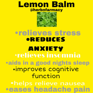 Lemon balm Extract (alcohol-free)